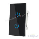 2 gang smart light switch